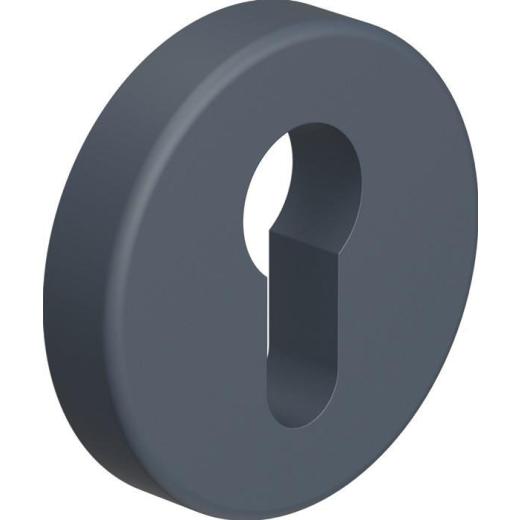 HEWI Schlüsselrosette 306.23PBKN 99 Kunststoff 99 Schildst.10,5 mm PZ rund