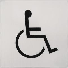 Hinweiszeichen NW-4600-3 VA Farb-Nr.60 B.126mm H.126mm TECWERK