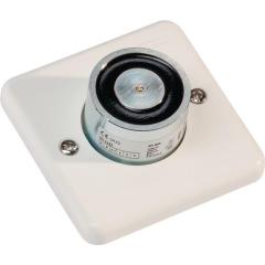 Elektromagnet 500 G 24 Volt AC/DC f.Schließfolgeregeler weiß