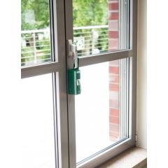 GFS - Fensterwächter PUR 1 Piktogramm grün m. Profilhalbzylinder